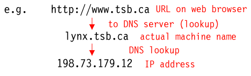 www.tsb.ca->lynx.tsb.ca->198.73.179.12